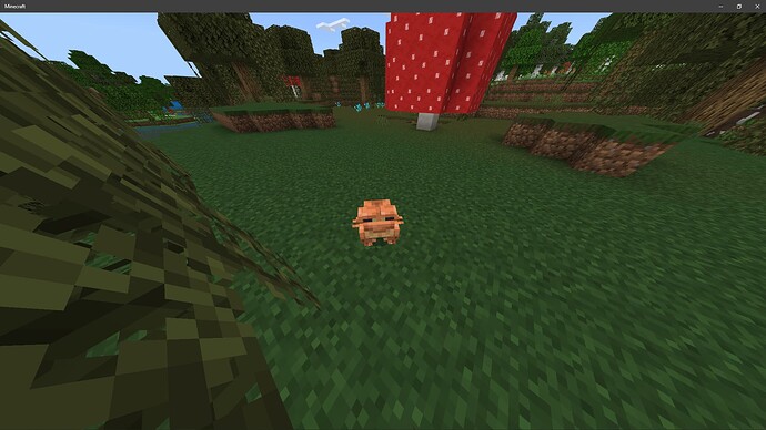 Screenshot_7880